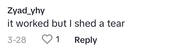 TikTok comment